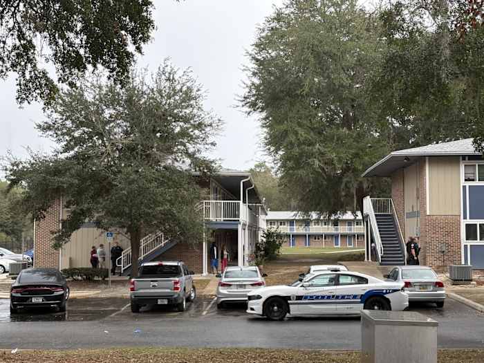 23-year-old Gainesville mother calls 911 to admit she drowned her 7-month-old in bathtub: police say