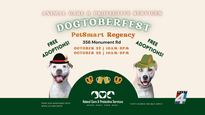 Celebrate ‘Dogtoberfest’ with free Jacksonville shelter adoptions at Regency PetSmart