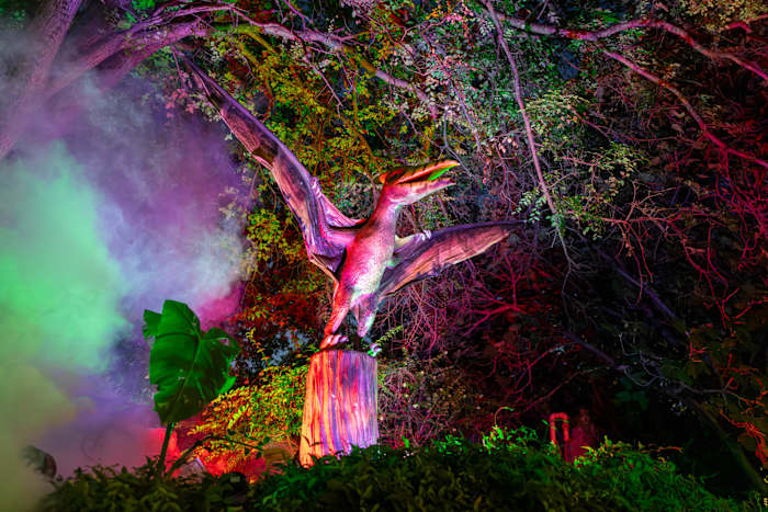 <a href="https://www.ksat.com/news/local/2026/08/03/san-antonio-zoo-to-add-more-dinos-after-dark-dates-after-large-crowds/" target="_blank">San Antonio Zoo to add more Dinos After Dark dates after large, ‘stressful’ crowds</a>