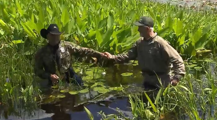 Everglades flooding has wildlife running out of dry ground - Vimarsana News