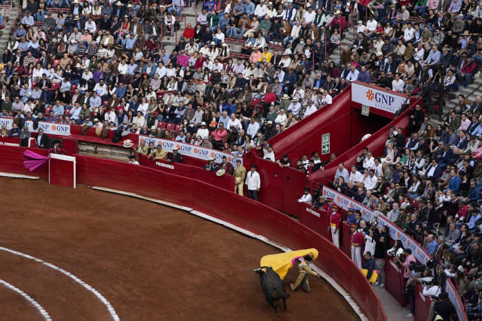 Federal court once again suspends bullfights in Mexico City, as activists and supporters lock horns