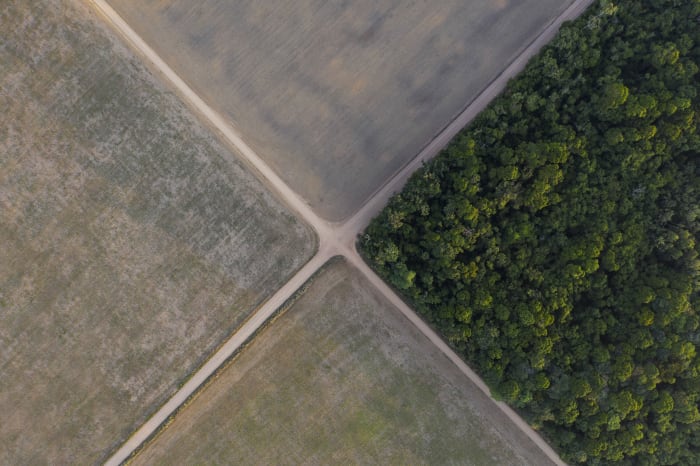 At Gabon talks, a debate on who pays to save world's forests