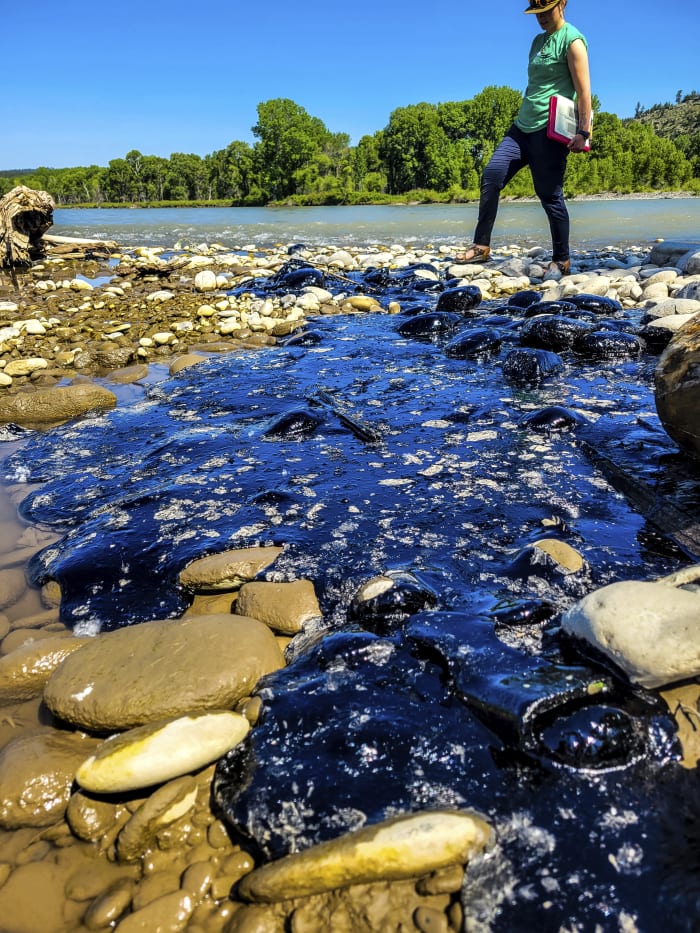 Cleanup begins after asphalt binder spill into Montana’s Yellowstone River after train derailment