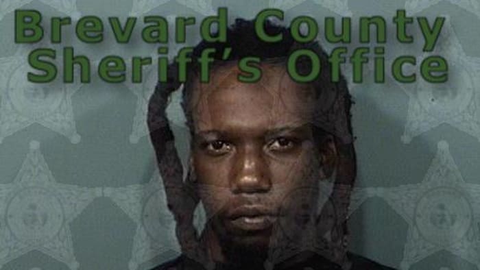 Man runs from arrest through Brevard Publix after chase, crash, troopers say
