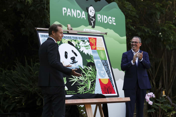 Meet America's New Giant Pandas, Yun Chuan and Xin Bao