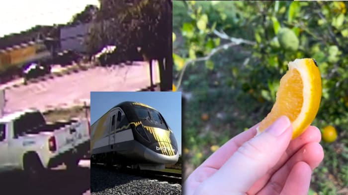 Your Florida Daily: NTSB investigating 2 deadly Brightline train crashes, citrus forecast improves