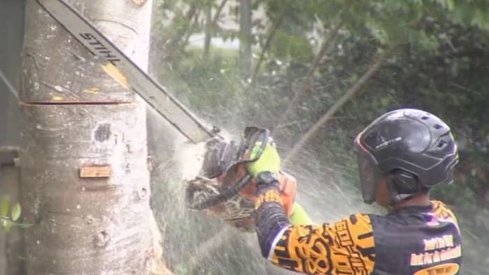 ‘Literally holding a shot gun:’ Woman pulls weapon on Deltona tree trimmer