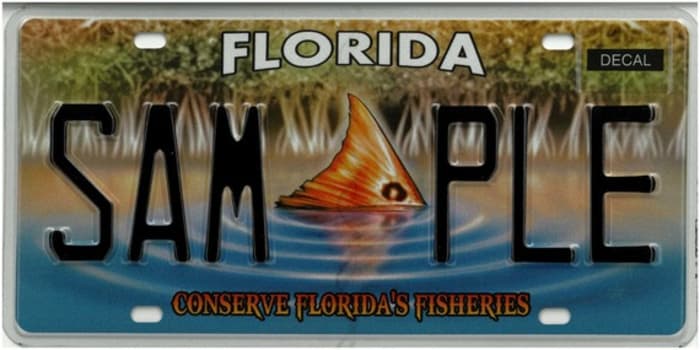 Pictures: Florida specialty license plates