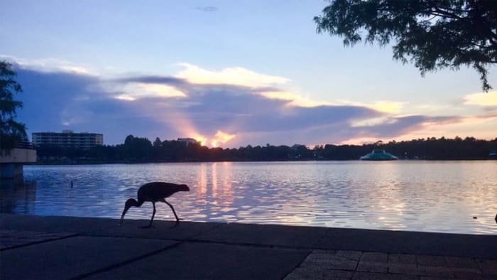 Abundant sunshine dominates Central Florida forecast