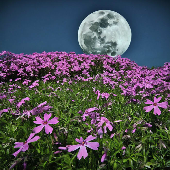 Look Up! The Pink Moon Illuminates the Night Sky This Week - Vimarsana News