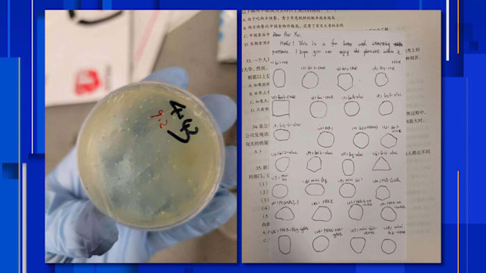 Chinese student accused of smuggling biological materials arrested at Detroit Metro Airport Chinese student accused of smuggling biological materials arrested at Detroit Metro Airport