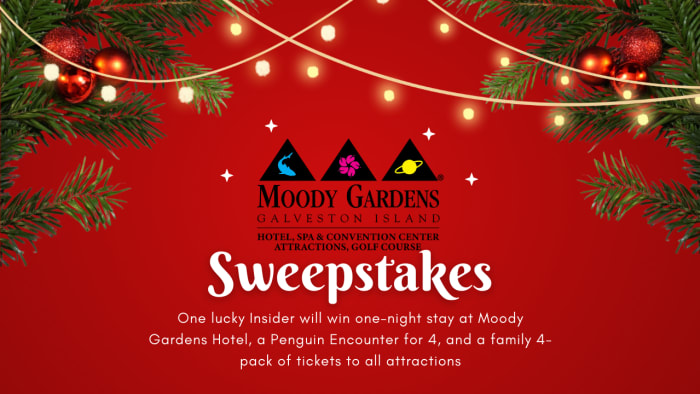 Illuminate your holidays with Moody Gardens - Vimarsana News