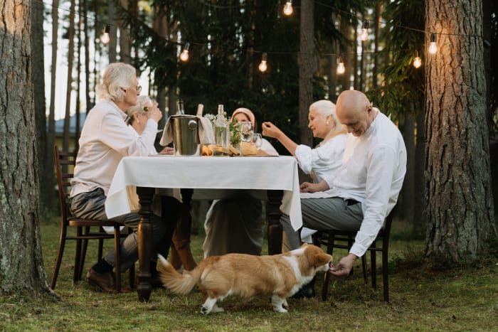 Enjoy sharing foods with pets? Here’s what is Ok from the Thanksgiving desk Enjoy sharing foods with pets? Here’s what is Ok from the Thanksgiving desk