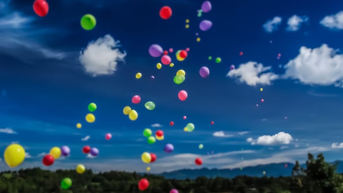 Florida House passes bill prohibiting balloon releases to protect wildlife  and environment