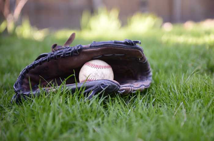 Multiple Florida Baseball Teams Reach Historic State Finals