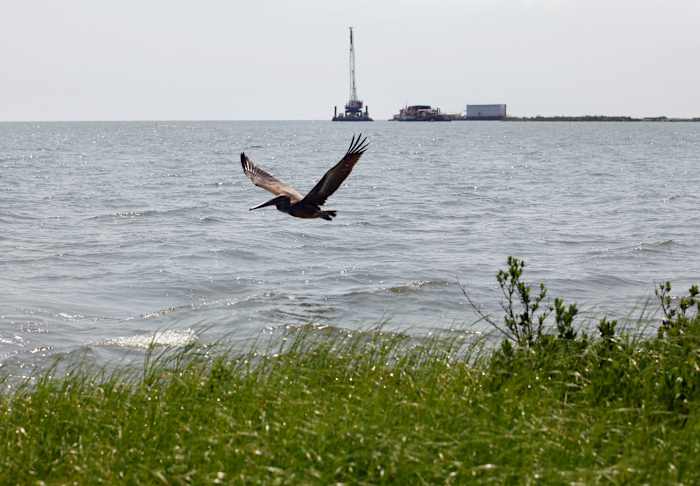 Record $9.6M Fine for Third Coast Midstream Oil Spill