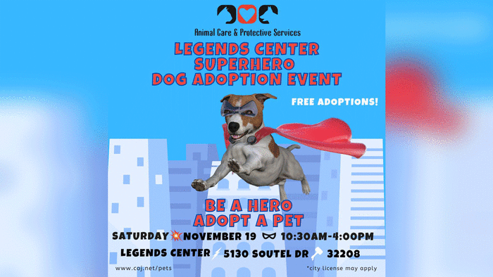 Be a hero, adopt a pet': Animal Care & Protective Services to host free dog adoption event at Legends Center Be a hero, adopt a pet': Animal Care & Protective Services to host free dog adoption event at Legends Center