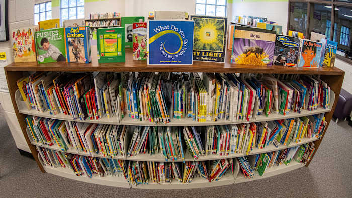 From book bans to basement makeovers: 10 win I Love My Librarian Award for making a difference