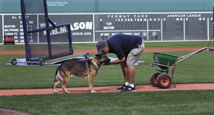 Covering the bases: Fenway Park expected as voting venue Red Sox Fenway Park  pitch AP Boston