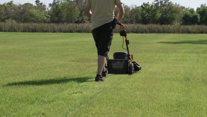 Consumer Reports: Expert tips for a picture-perfect lawn This site asks for consent to use your data