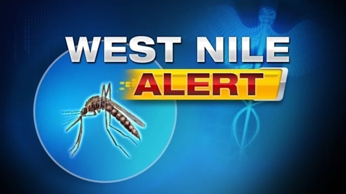 Human case of West Nile Virus confirmed in Duval County - News4JAX
