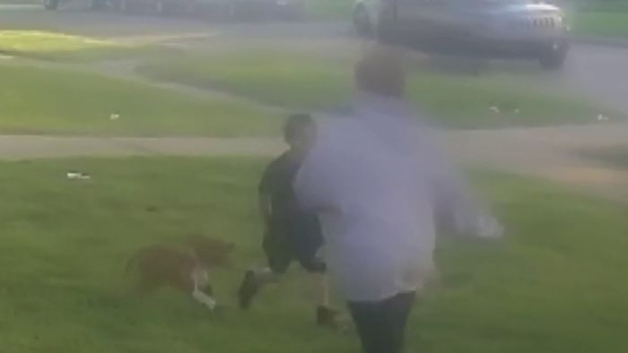 Inkster mother says repeated complaints were ignored before dog attacked her 6-year-old son