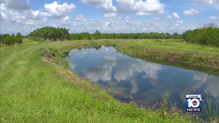 Miami-Dade mayor vetoes controversial Urban Development Boundary expansion