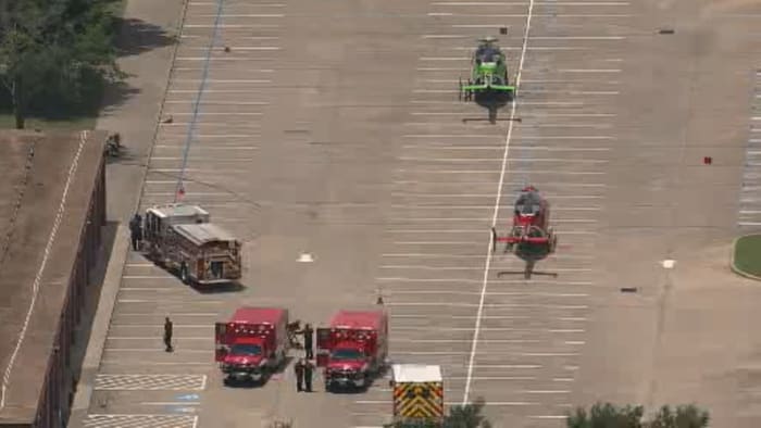 Houston crash: 1 dead, 1 injured after car crashes into tree on S. Dairy  Ashford