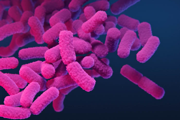 It’s known as ‘nightmare bacteria,’ and cases are rising in the United States