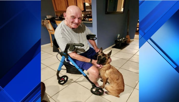 Florida veteran reunited with missing dog that was missing for weeks - Vimarsana News