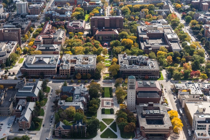 Recluse Spiders at University of Michigan Cause Brief Library Closure - The  New York Times