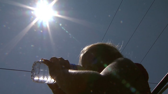 Don't Be a Goner! Why Staying Hydrated is Crucial for Your Wellbeing (and it's more than just drinking water!)
