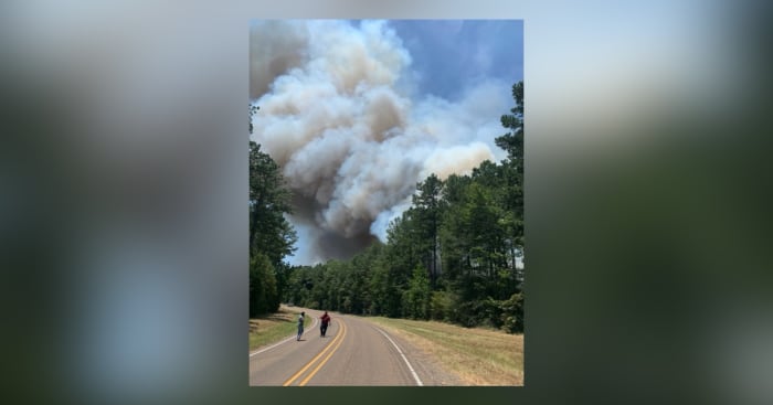 2 firefighters injured battling San Jacinto County wildfire released from the hospital 2 firefighters injured battling San Jacinto County wildfire released from the hospital