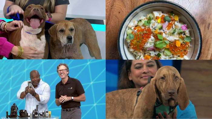 ダブルドッグ、ランスを思い出の道に連れて行く、そしておいしい食べ物