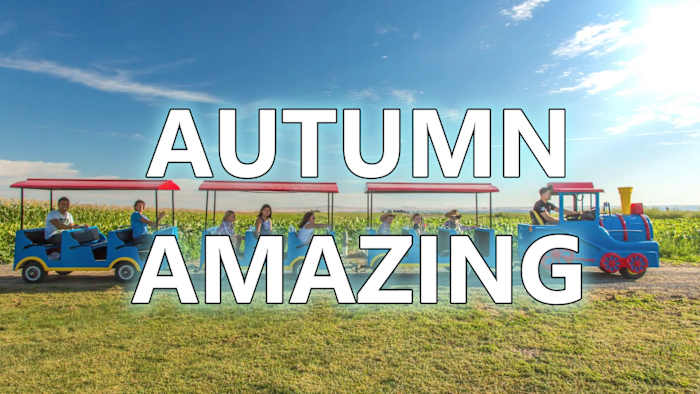 Houston! Fall is finally here and Halloween looks booooo-tiful!