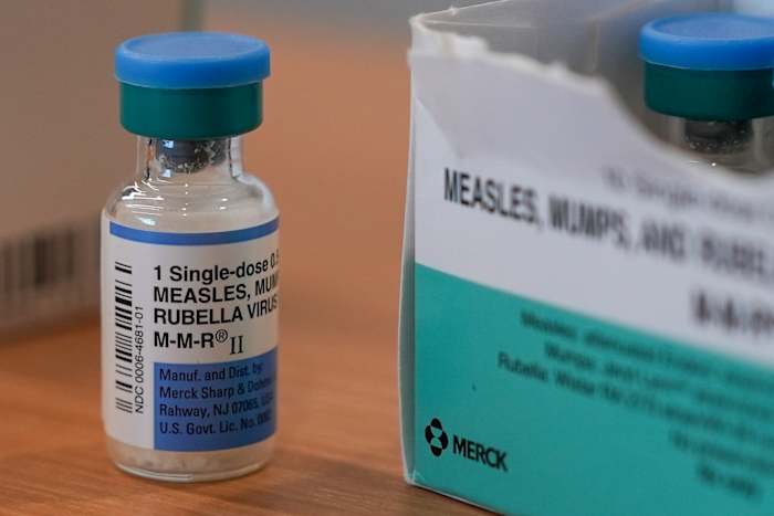 Measles Virus Image