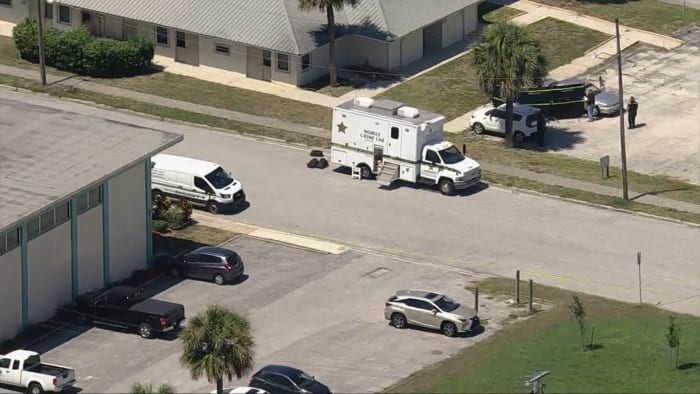 Cocoa bean visual data 7