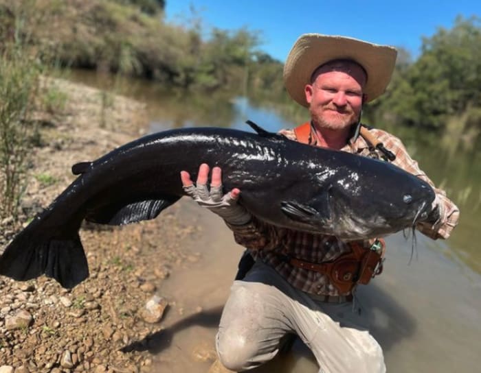 Fly fish angler reels in potential world-record blue catfish in Texas river