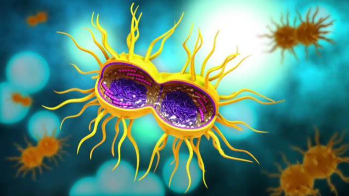 Which Central Florida county has the highest transmission rate for STDs?