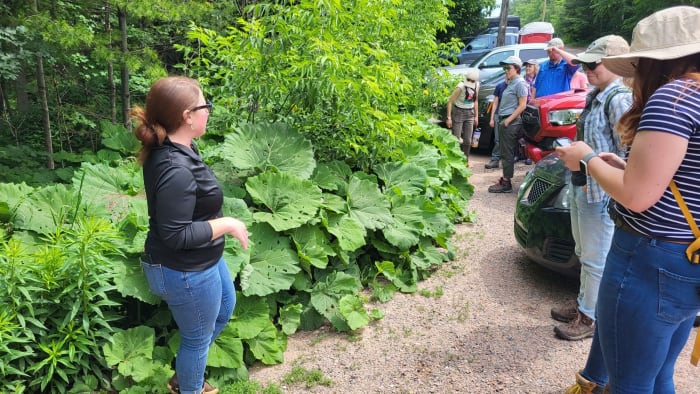 Michigan awards $3.6M to projects fighting invasive species