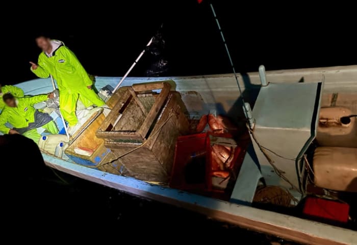 Coast Guard finds 400 pounds of illegally caught fish in South Texas