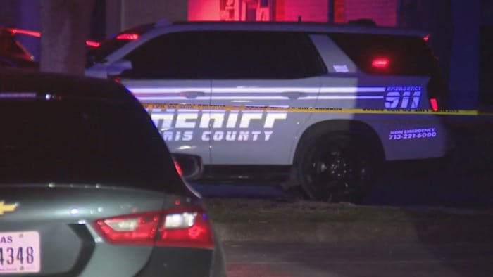 ক্লোভারলিফ এলাকায় গুলি করে 16 বছর বয়সী খুনের অভিযোগ আনা হয়েছে