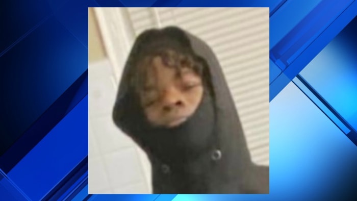 Detroit police want help finding missing 14-year-old boy - Vimarsana News