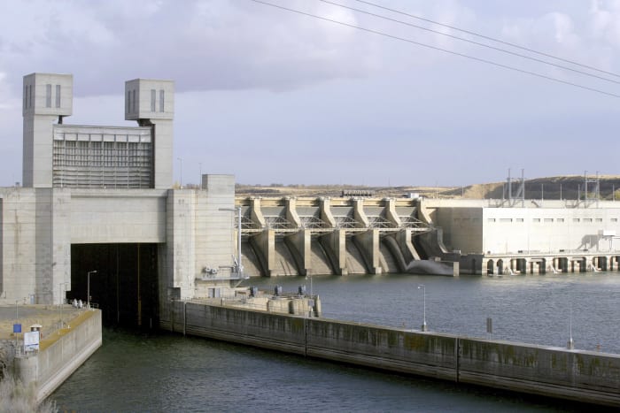 Biden memo directs US agencies to restore healthy and abundant salmon runs in the Northwest Biden memo directs US agencies to restore healthy and abundant salmon runs in the Northwest