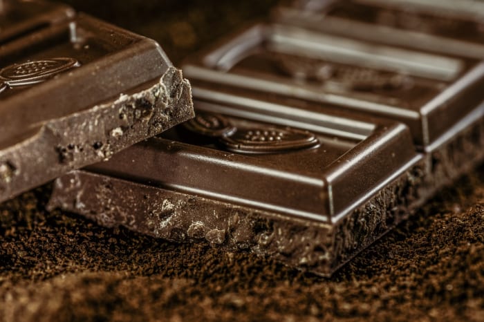 Read more about the article Sweet Florida stops by World Chocolate Day