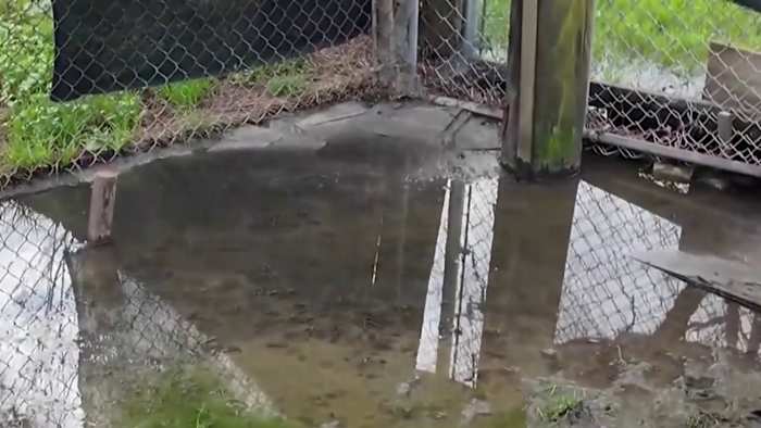 Image linked from the original feed: Harris County takes Roving Meadows wastewater operator back to court after years of sewage complaints