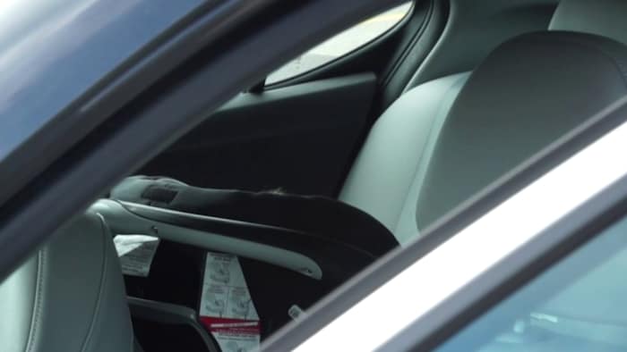 Car safety alert: Preventing hot car fatalities