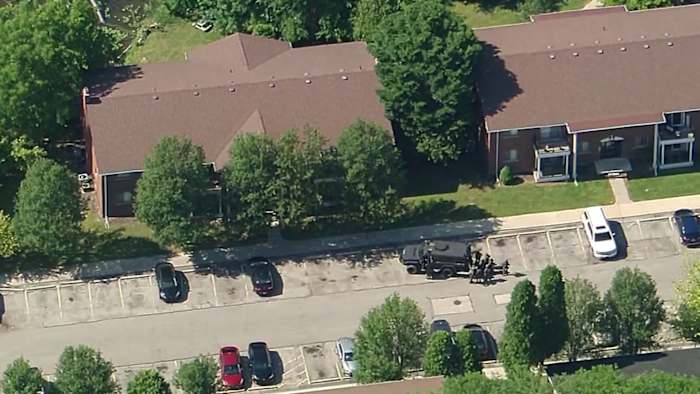 Assault News Image