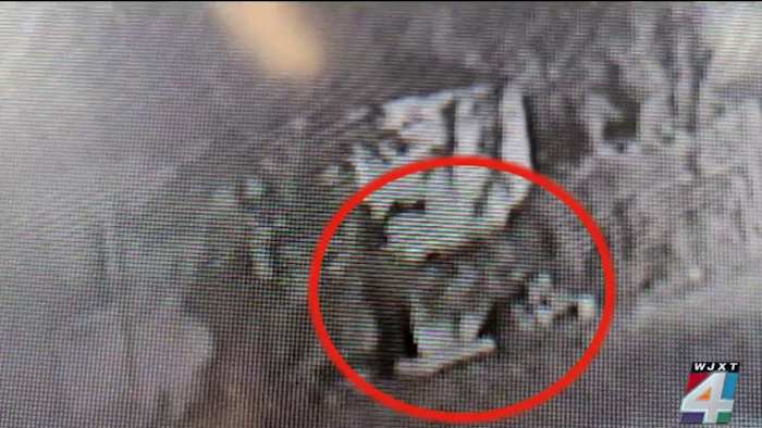 Burglary News Image