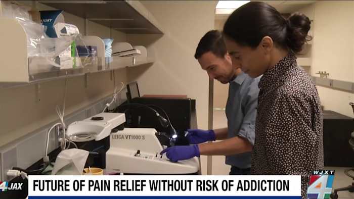 Scientists racing for new ways to treat pain without risk of pain addiction